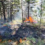 South Country firefighters responding to growing grass fire