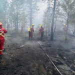 Baynes Lake grass fire now contained