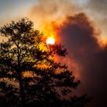 Evacuation Alert for over 500 homes in Wasa and Ta Ta Creek