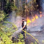 Forest fire halted by Good Samaritans and first responders