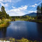 Area C backing Cranbrook recreation study