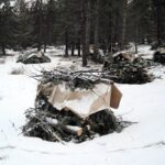Slash pile burning set to begin near Kimberley