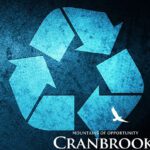 Curbside recycling and garbage collection for stratas nixed