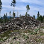 Slash pile burning continues through fall