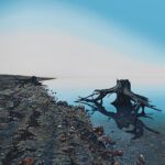 The art of transforming trauma into inspiration