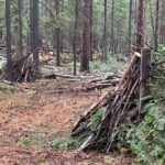 Kimberley advances wildfire risk reduction with FESBC