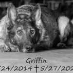 Cranbrook SAR mourning loss of search dog