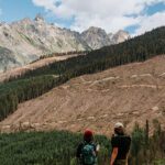 More promises a poor substitute for action: Wildsight