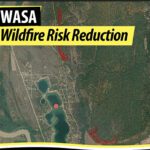 Fuel reduction project beginning in Wasa area