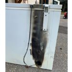 Near miss triggers safety reminder