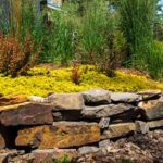 Open Garden Day this Sunday in Cranbrook