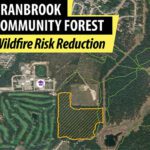 Community Forest fuel reduction project starting in 2025