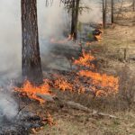 Ecosystem improvements on the horizon