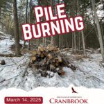 Pile burning possible today in Gold Creek south