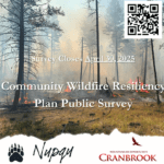 Survey aims to inform Community Wildfire Resiliency Plan