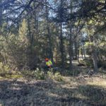 Protecting land and people in Columbia Lake and Moyie