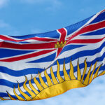 Democratic and electoral reform committee seeks input