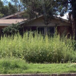 Sparwood focussing on unsightly properties