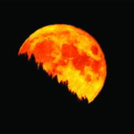 Big Buck Moon will beautify East Kootenay sky July 10