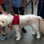 Therapeutic Paws of Canada visits YXC