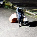 RCMP release video of suspect from recent theft of tools