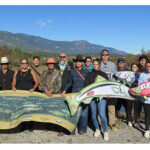 The salmon are coming home