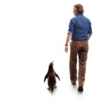 The Penguin Lessons showing Sept. 24