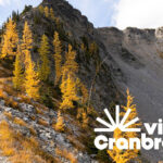 Cranbrook Tourism rebrands as Visit Cranbrook