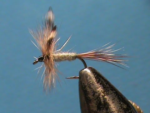 Fly Tying Club