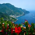 Where poets go to die after lemon treats