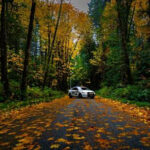 Nearly 8k ticketed during BCHP campaign