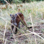 Summer in the East Kootenay 2025