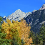 Autumn in the East Kootenay 2025