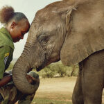 Stories that move mountains