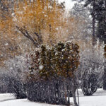 People encouraged to prepare for winter weather