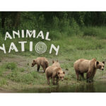 Region featured in new docuseries on APTN