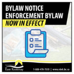 Variety of infractions covered by new bylaw