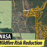 Fuel reduction work coming to Wasa area