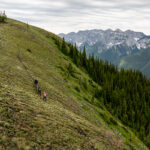 Landmark conservation partnership protects 45,000 ha