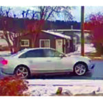 Police investigating shots fired in Innes Avenue area