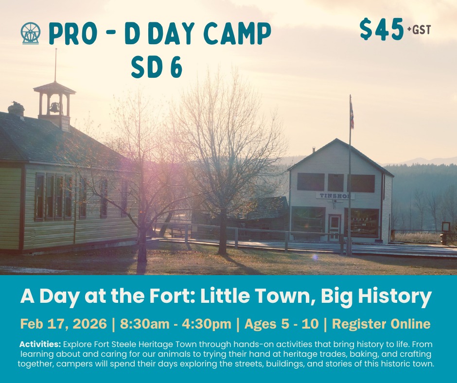 Pro-D Day Camp