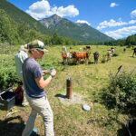 Groundwater report flags at-risk aquifers