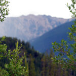 Fixed permitting timelines for mineral exploration coming