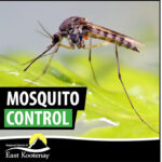 RDEK updates Pest Management Plan