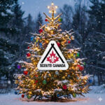 Scouts announce annual Christmas Tree Pickup event
