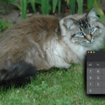 Why absolute numbers don’t make good policy