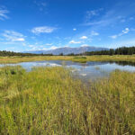 Investing in wetlands an investment in shared prosperity