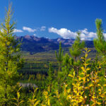 Wildsight reacts to PFAC report