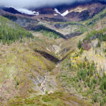 Report calls for major shift in forest and land management