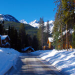 Buy Canadian attracting domestic buyers